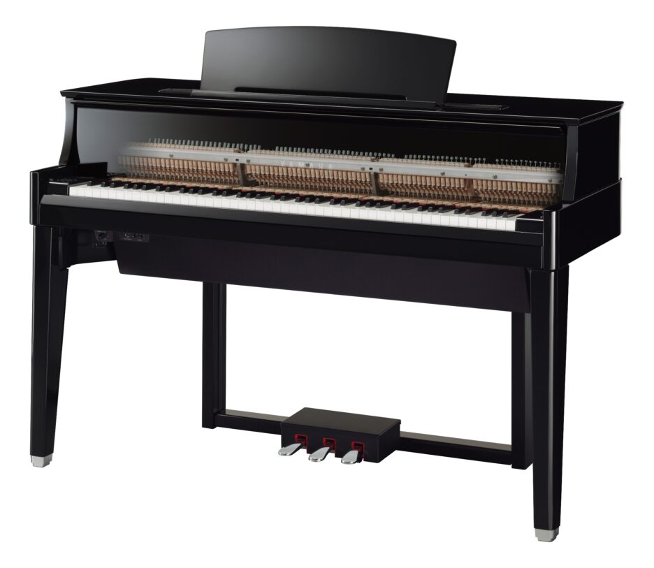 AvantGrand N1 X – Bild 2