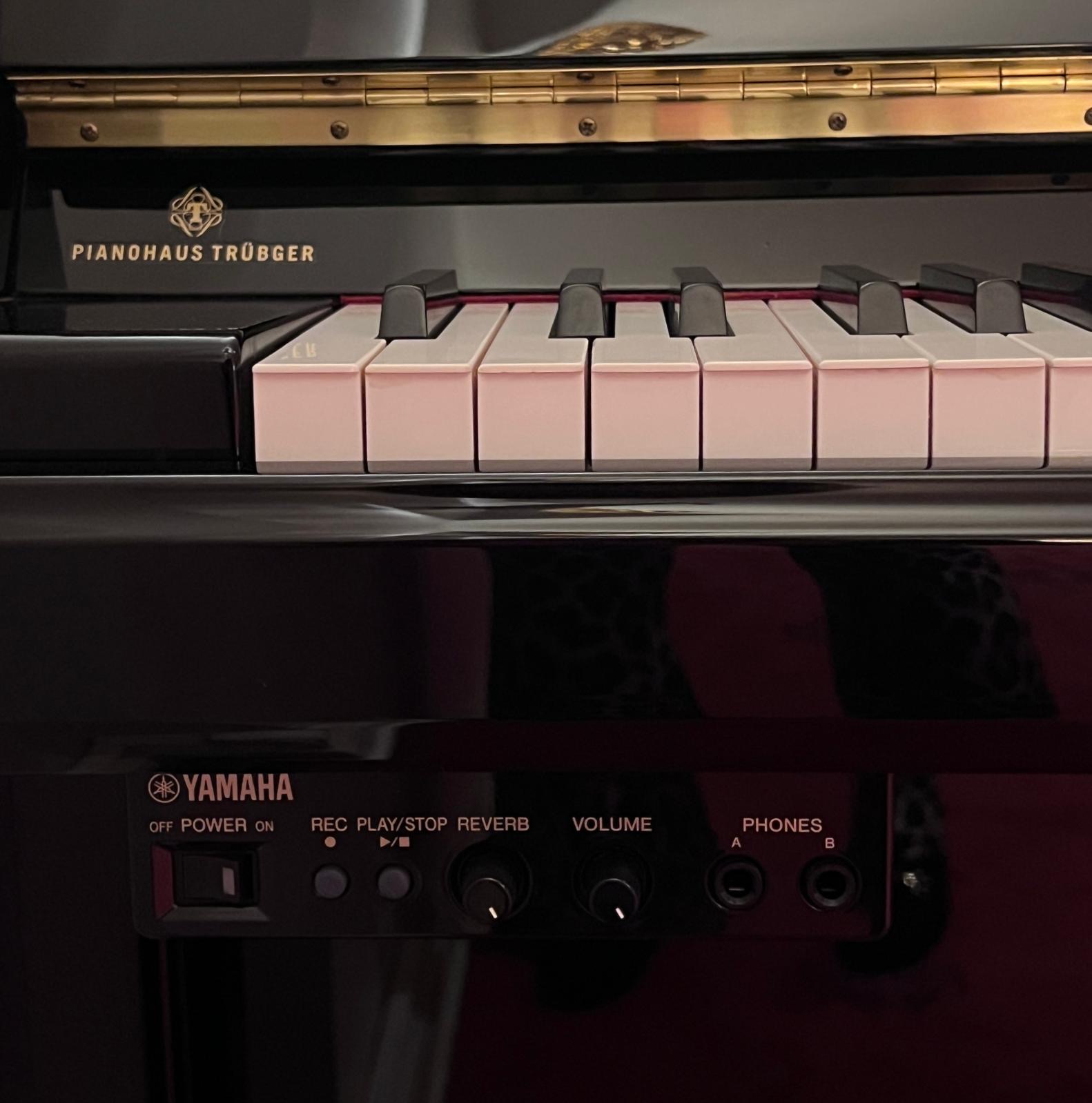 Yamaha Klavier Mod. B2 Silent SG2 – Bild 2